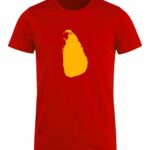 527290869_4127962184110025_5256725328761215471_n